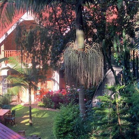David Crater Homestay Lushoto Εξωτερικό φωτογραφία