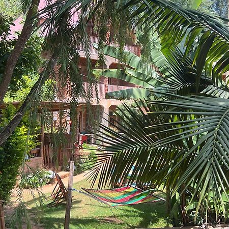 David Crater Homestay Lushoto Εξωτερικό φωτογραφία