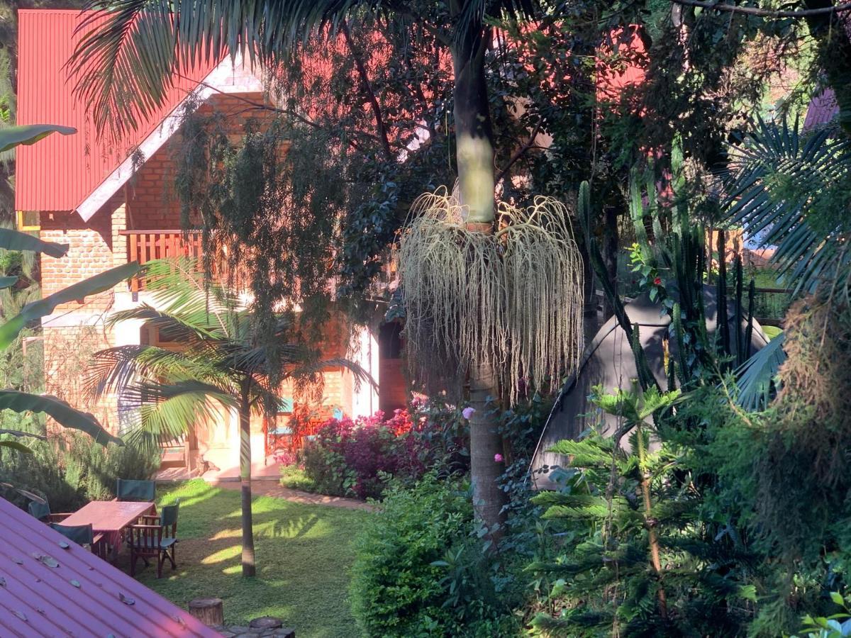 David Crater Homestay Lushoto Εξωτερικό φωτογραφία