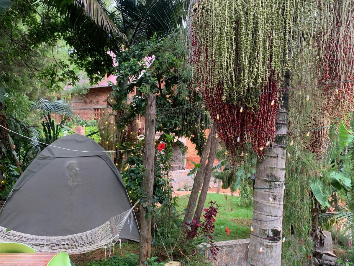 David Crater Homestay Lushoto Εξωτερικό φωτογραφία